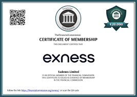 Unlocking Trading Potential with Exness MT5
